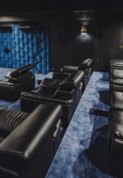 profesjonalna sala kinowa w domu