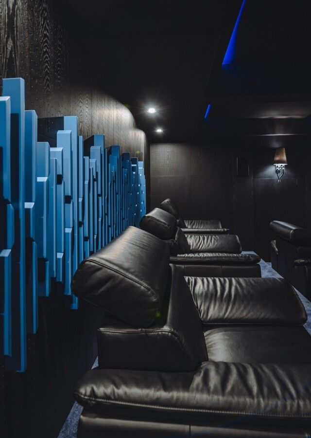 profesjonalna sala kinowa w domu