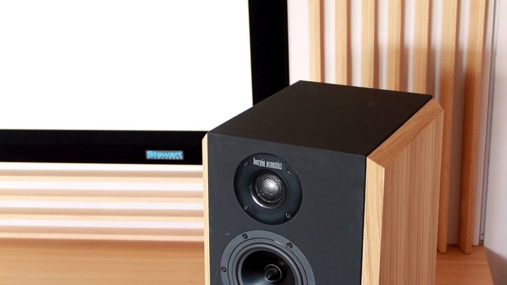 pokój kinowy - kino w salonie